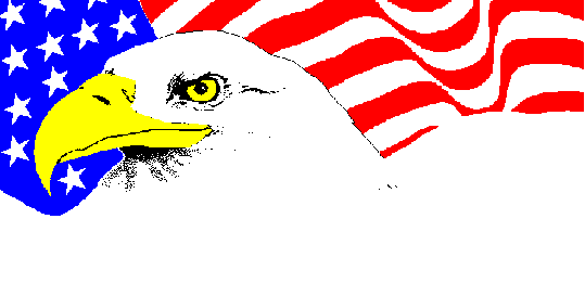 US Flag & Eagle